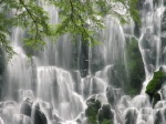 Dreamscene-waterfall